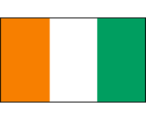 Irische Flagge